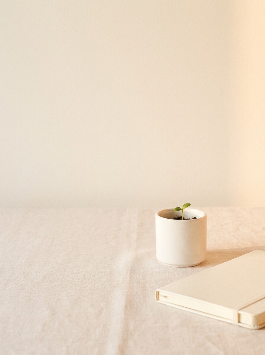 A small white pot with a tiny green sprout and a cream notebook on pale linen, with open space at upper left.
