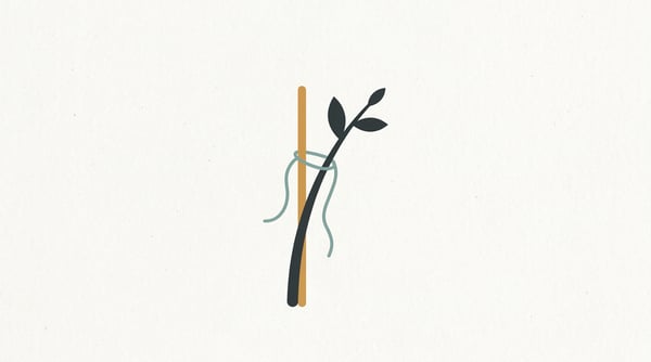 비박탐나는 사람에게 붙이는 이름이 아니다 — 이제마가 남긴 네 갈래의 교정 방향
