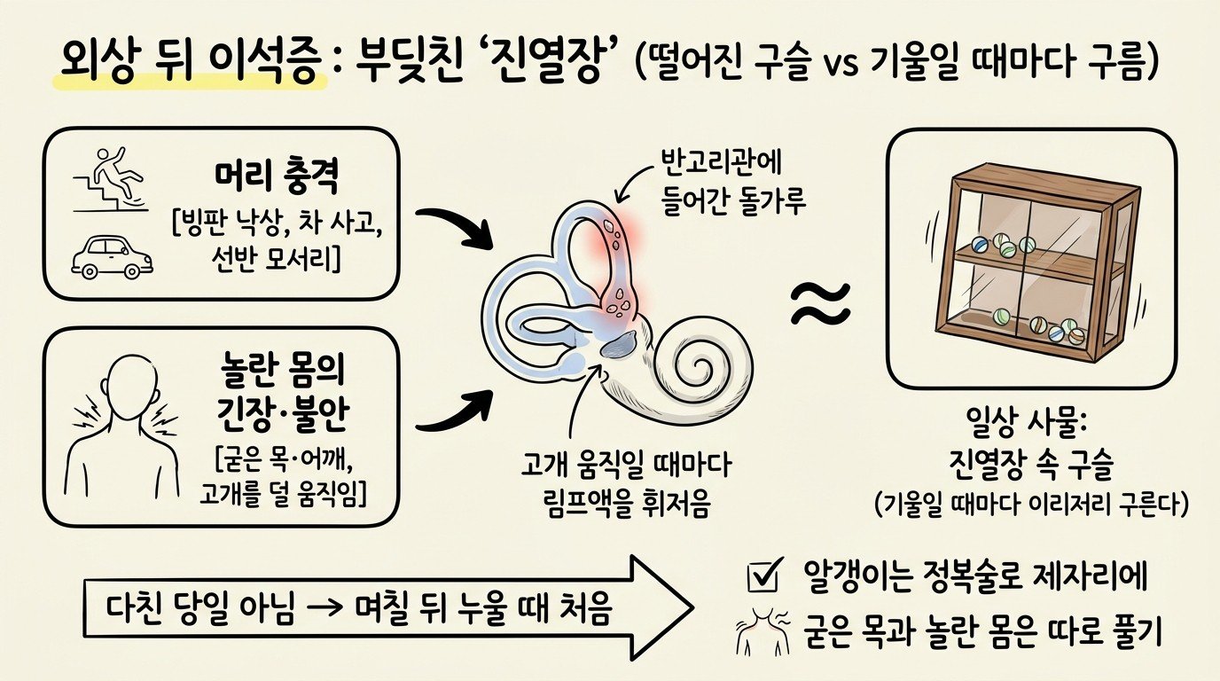 머리 충격과 놀란 몸의 긴장·불안이 원인으로 이어지고, 반고리관에 들어간 돌가루가 고개를 움직일 때마다 림프액을 휘젓는 모습을 진열장 속에서 굴러다니는 구슬에 빗댄 개념 지도