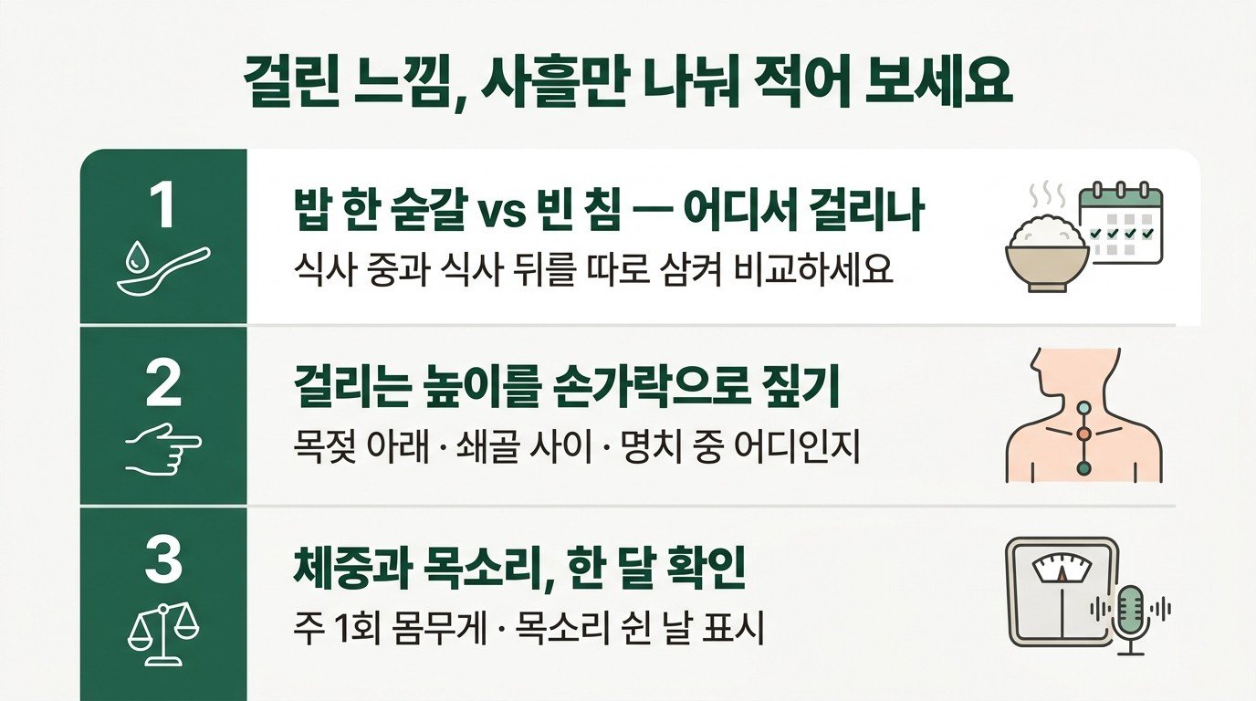 걸린 느낌, 사흘만 나눠 적어 보세요 — 밥 한 숟갈과 빈 침 비교, 걸리는 높이 짚기, 체중과 목소리 한 달 확인