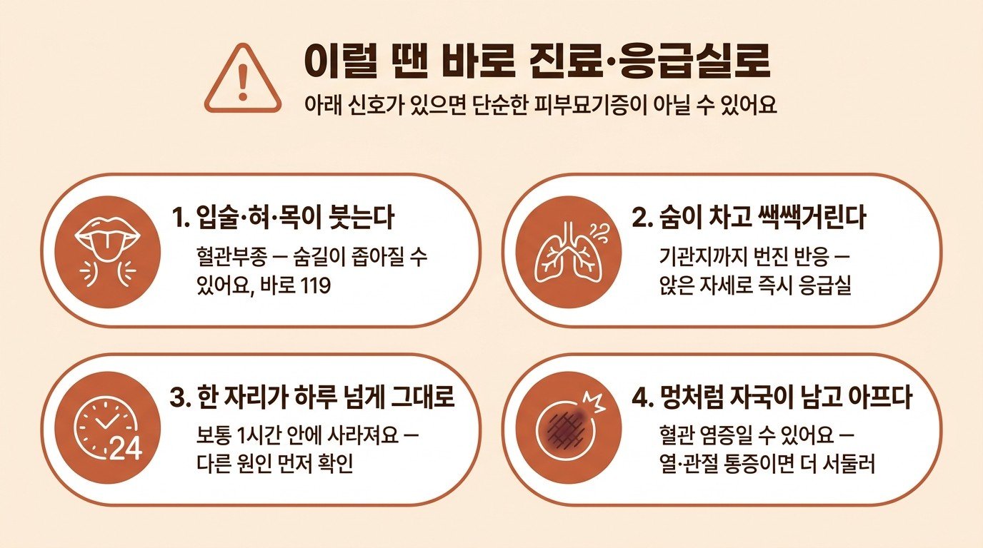이럴 땐 바로 진료·응급실로 — 입술·혀·목이 붓는다, 숨이 차고 쌕쌕거린다, 한 자리가 하루 넘게 그대로, 멍처럼 자국이 남고 아프다