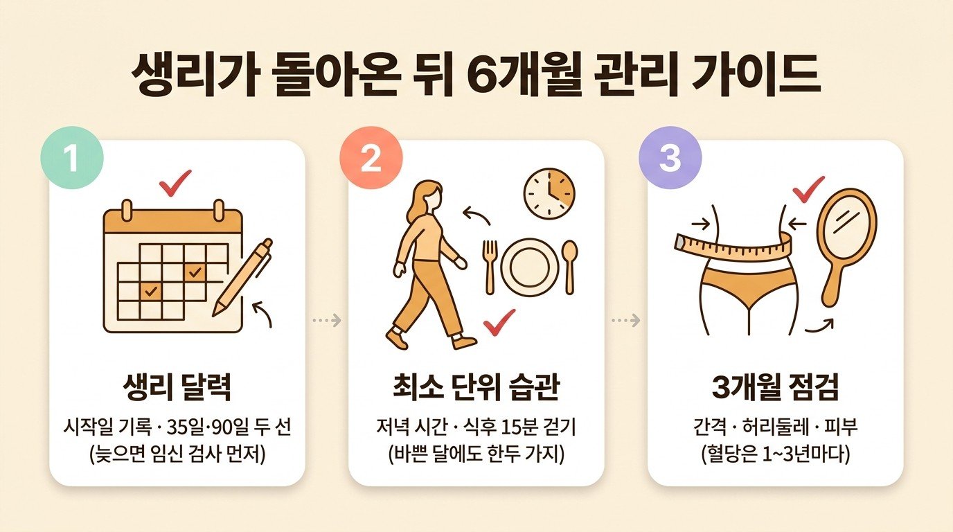 생리가 돌아온 뒤 6개월 관리 가이드 — 생리 달력, 최소 단위 습관, 3개월 점검