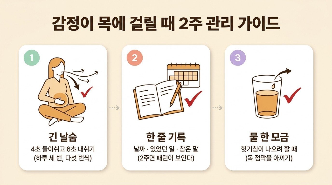 감정이 목에 걸릴 때 2주 관리 가이드 — 긴 날숨, 한 줄 기록, 물 한 모금