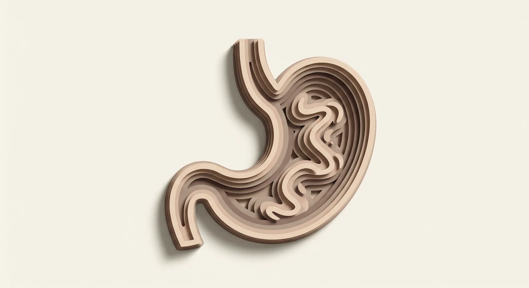 만성 위염 통합의학 가이드 — 위장을 표현한 페이퍼크래프트 이미지